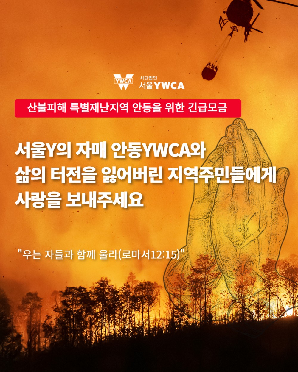 34f4b0067e7815ddc447c68505ed02da_1743153