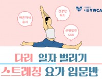[모집] 다리 일자 벌리기 스트레칭 요가 입문반